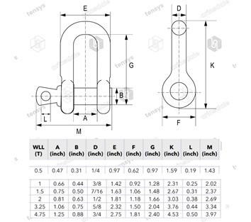 Screw Pin Dee Shackle 