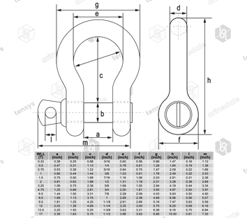 Screw Pin Bow Shackle
