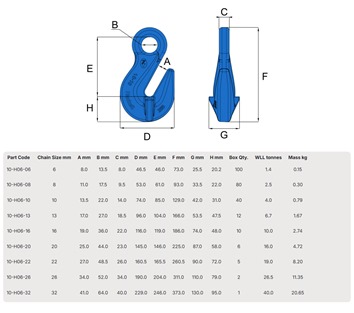 Hack10 Eye Grab Hook