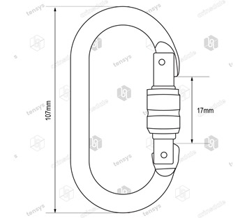 17mm RidgeGear RGK1 Steel Screwgate Karabiner