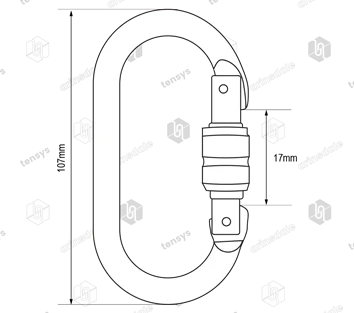 17mm RidgeGear RGK1 Steel Screwgate Karabiner