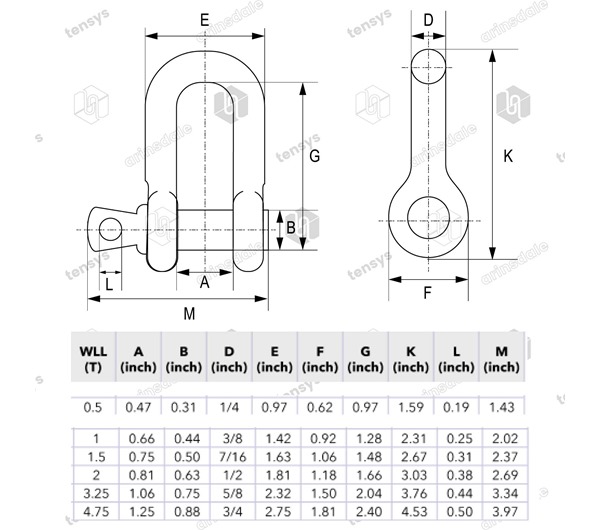 Screw Pin Dee Shackle 