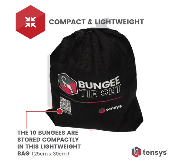 10 Pack of Bungee Cords with Hooks