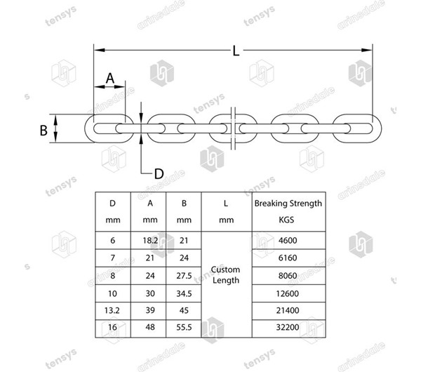 Hackett · Grade 8 · Chain