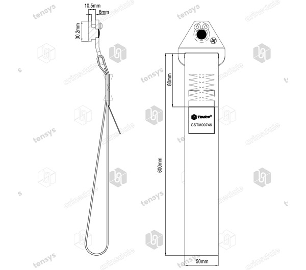 Rear Grab/Pull Up Strap with Captive Endfitting for 25mm Round Hole Anchor Track