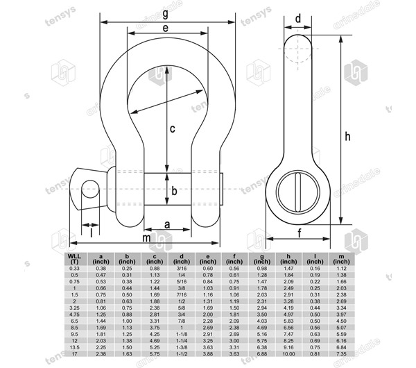 Bow Shackle · Screw Pin