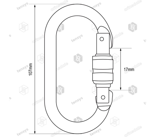 17mm RidgeGear RGK1 Steel Screwgate Karabiner