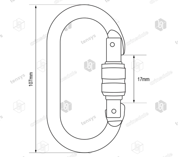 17mm RidgeGear RGK1 Steel Screwgate Karabiner